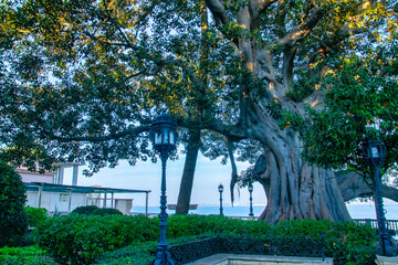 Obraz premium park in the park
