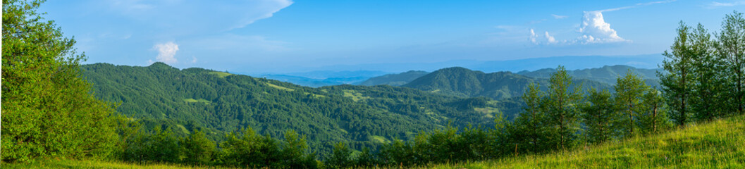Carpathians mountains landscapes from green meadow on sunset, Apetska mountain, Ukraine - obrazy, fototapety, plakaty
