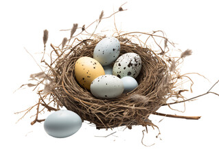 Naklejka na ściany i meble a nest with eggs in it