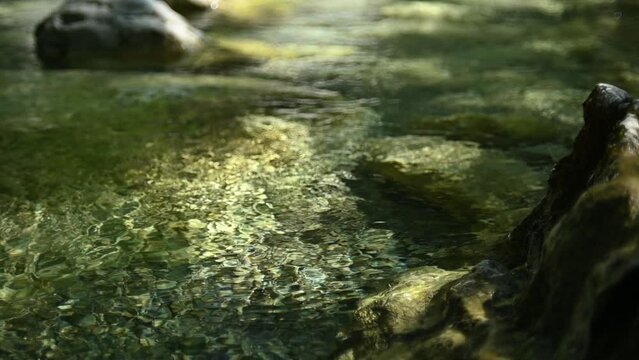 A sunlight spot on a mountain stream in summer (slow motion)