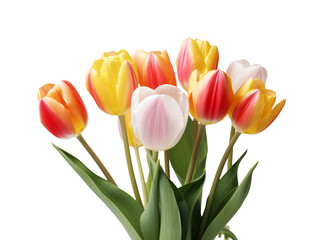 Obraz premium a bouquet of tulips with green leaves