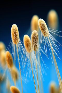 Slimy diatoms on a blue background. Macro. Shallow depth of field
