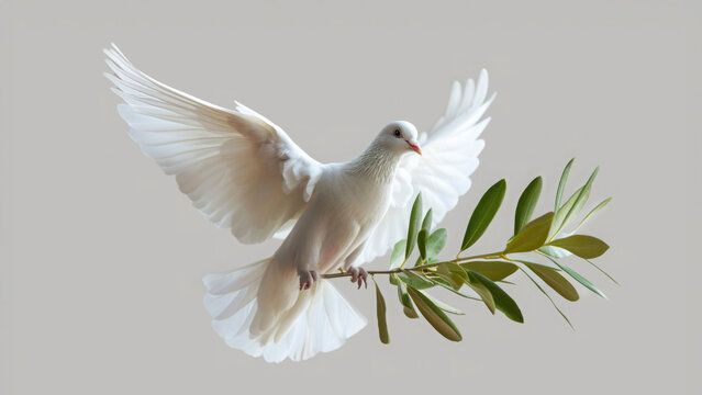 White dove with an olive branch, symbol of peace. - Powered by Adobe
