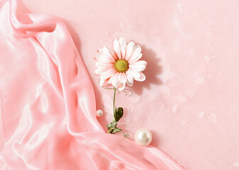 Delicate soft pink floral composition with wet tulle and daisy flower. Hydration and moisturizing...