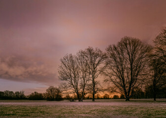 Fototapeta premium Schloss Favorite Kuppenheim Rastatt