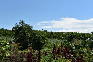 Clouds over a rural landscape. Temperate steppes with rolling hills of the Caucasian Highlands....