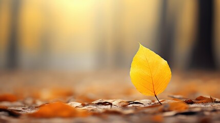 foliage yellow autumn background illustration golden season, nature warm, cozy harvest foliage yellow autumn background