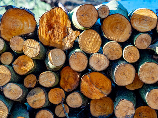 Kleiner Brennholzstapel © focus finder