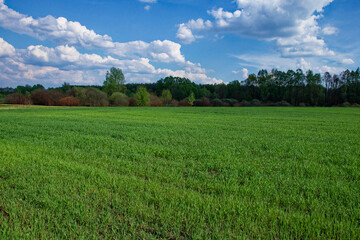 The image shows an expansive green meadow, trees in the distance and a blue sky above.