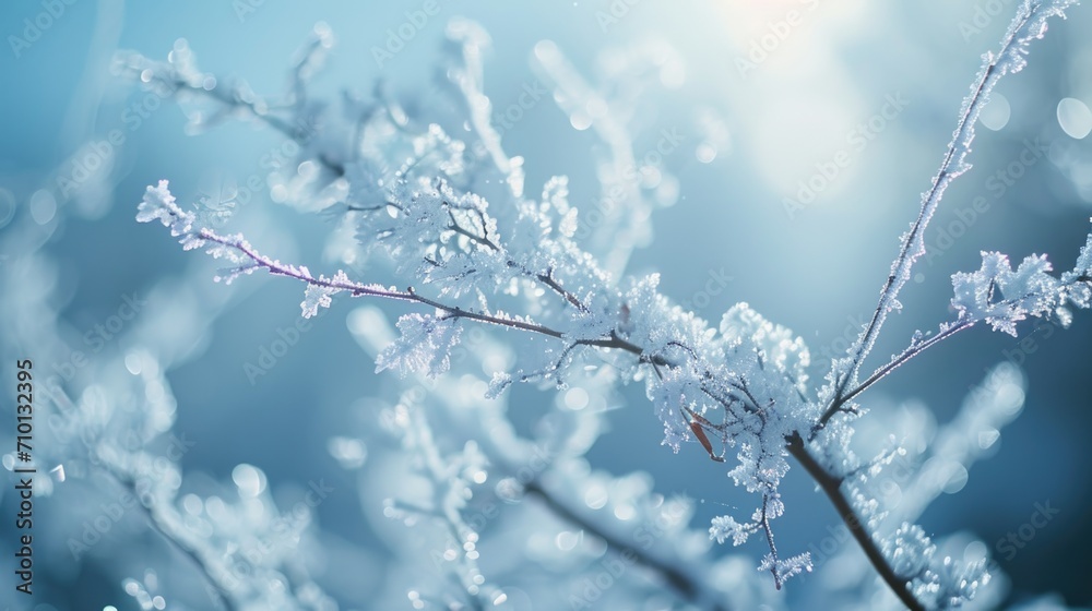 Poster close up of a tree branch covered in frost. perfect for winter-themed designs and nature-inspired pr