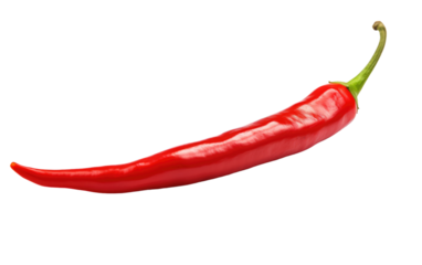 Spicy Stew: A Culinary Exploration of Chili isolated on transparent Background