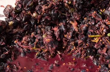 Wine material, grape juice - must, stum, maun. Technology of wine production in Moldova. The folk tradition of making wine.