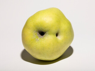 Ugly mutant apple. The fruit is yellow on a white background.
