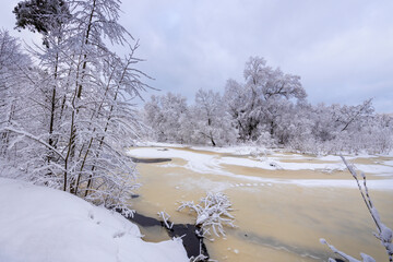 Colorful landscape with snow-covered trees, frozen river. Winter forest on the river. Beautiful forest in snowy winter. Christmas theme.