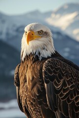 Obraz premium Bald Eagle Soaring Above Majestic Mountain