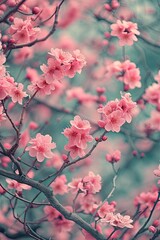 Pink Flowers in Full Bloom on Tree