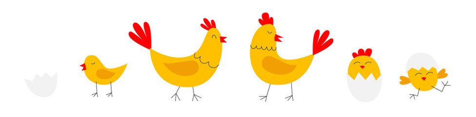 Yellow chicken with little chicks, Easter vector illustration - obrazy, fototapety, plakaty