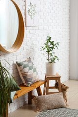 Interior of hallway with wooden bench, mirror and houseplants