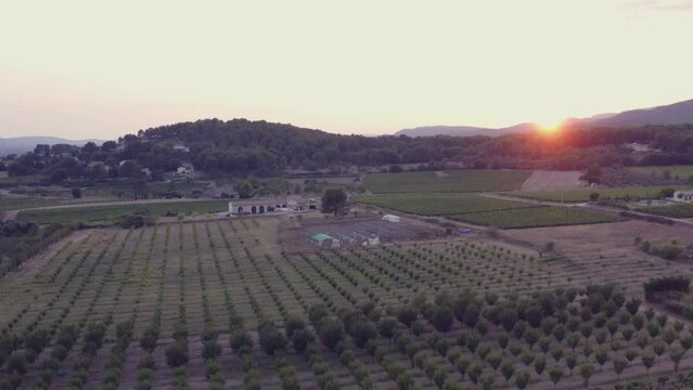 Drone footage of sun setting behind hills with olive groves in the foreground. Lauris, France