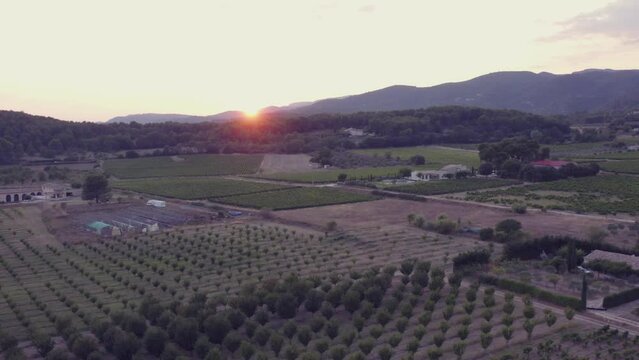 Drone footage of sun setting behind hills with olive groves in the foreground. Lauris, France
