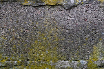 A blurry image of an concrete wall covered with lichen.