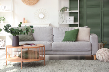 Interior of stylish living room with grey sofa