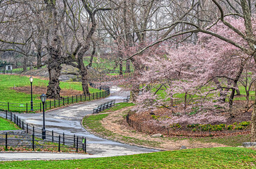 Central Park in spring