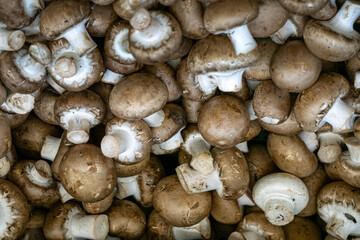 Brown champignons in a box at the market.