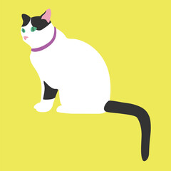 The white cat. Black tail. White cat sitting. The green eyes. Bright yellow background. Flat illustration. Vector. 