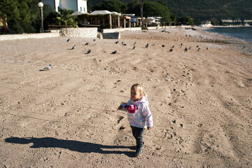 Little girl with a soft toy in her jacket pocket walks along the sandy beach