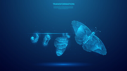 Digital transformation concept. Illustration of butterfly evolution symbolizing digital transformation concept. blue low poly style vector background design. - obrazy, fototapety, plakaty