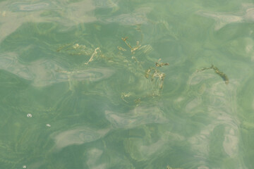 This lake is gorgeous Neufchâtel from different views