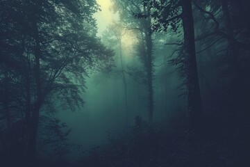 deep dark foggy forest