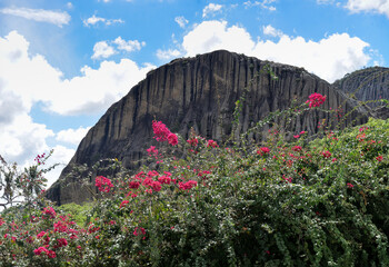flowers and mountains, flowers in the mountains, sunny day, wallpaper, bougainvillea, nyctaginaceae, creeper, magnoliopsida, magnoliophyta, plantae, botany