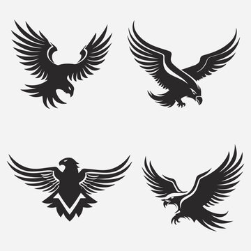 Eagle bird vector silhouette  illustration, 