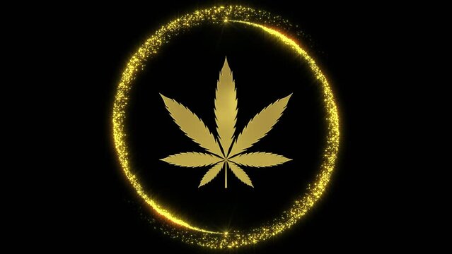 The golden leaf of cannabis 