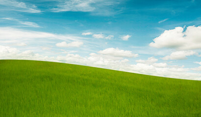 Green field and blue sky and clouds