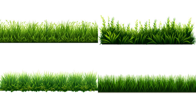 Grass borders clipart set isolated on a white background. green meadow nature background. design element.