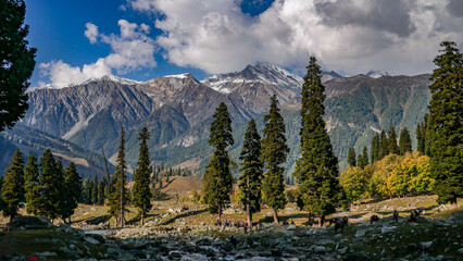 Mountains of Kashmir
