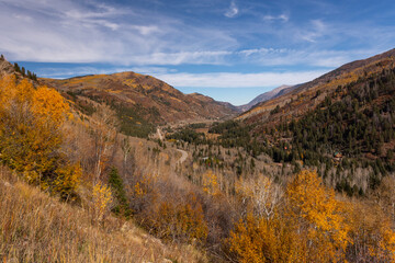 Mountains covered in fall colors foliage. McClure Pass, Colorado