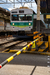Train(電車)