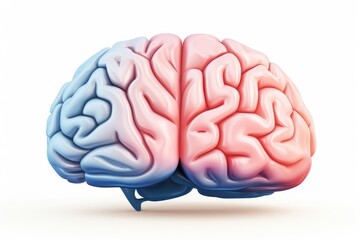 3D Science Brain Axon Proprioception, homunculus, nervous system development. Neural oscillations in neurological examinations. Neurocomputational models, optogenetics, brain computer interfaces (BCI)