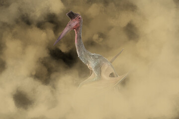 Pterosaur ,dinosaur in the dark © meen_na