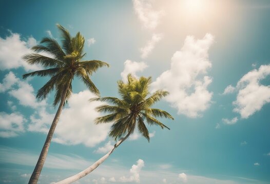 Summer background nature of tropical beach with rays of sun light Golden sand beach palm tree sea wa