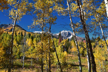 Fototapeta premium Timpanogos back views from hiking trail, Willow Hollow Ridge, Pine Hollow Wasatch Rocky Mountains, Utah. United States.