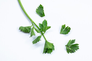 fresh celery isolated on white background