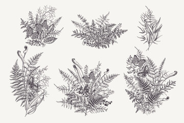 Set with forest bouquets. Butterflies, leaves, and berries. Vintage botanical compositions. Vector. Black and white. - obrazy, fototapety, plakaty