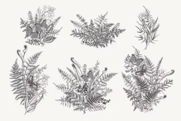 Muurstickers Set with forest bouquets. Butterflies, leaves, and berries. Vintage botanical compositions. Vector. Black and white. © Lisla