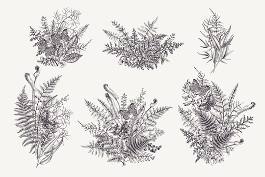 Set with forest bouquets. Butterflies, leaves, and berries. Vintage botanical compositions. Vector. Black and white.