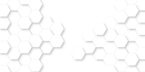 Fotobehang Abstract pattern with hexagonal white and gray technology line paper background. Hexagonal 3d vector grid tile and mosaic structure mess cell. white and gray hexagon honeycomb geometric copy space. © MdLothfor